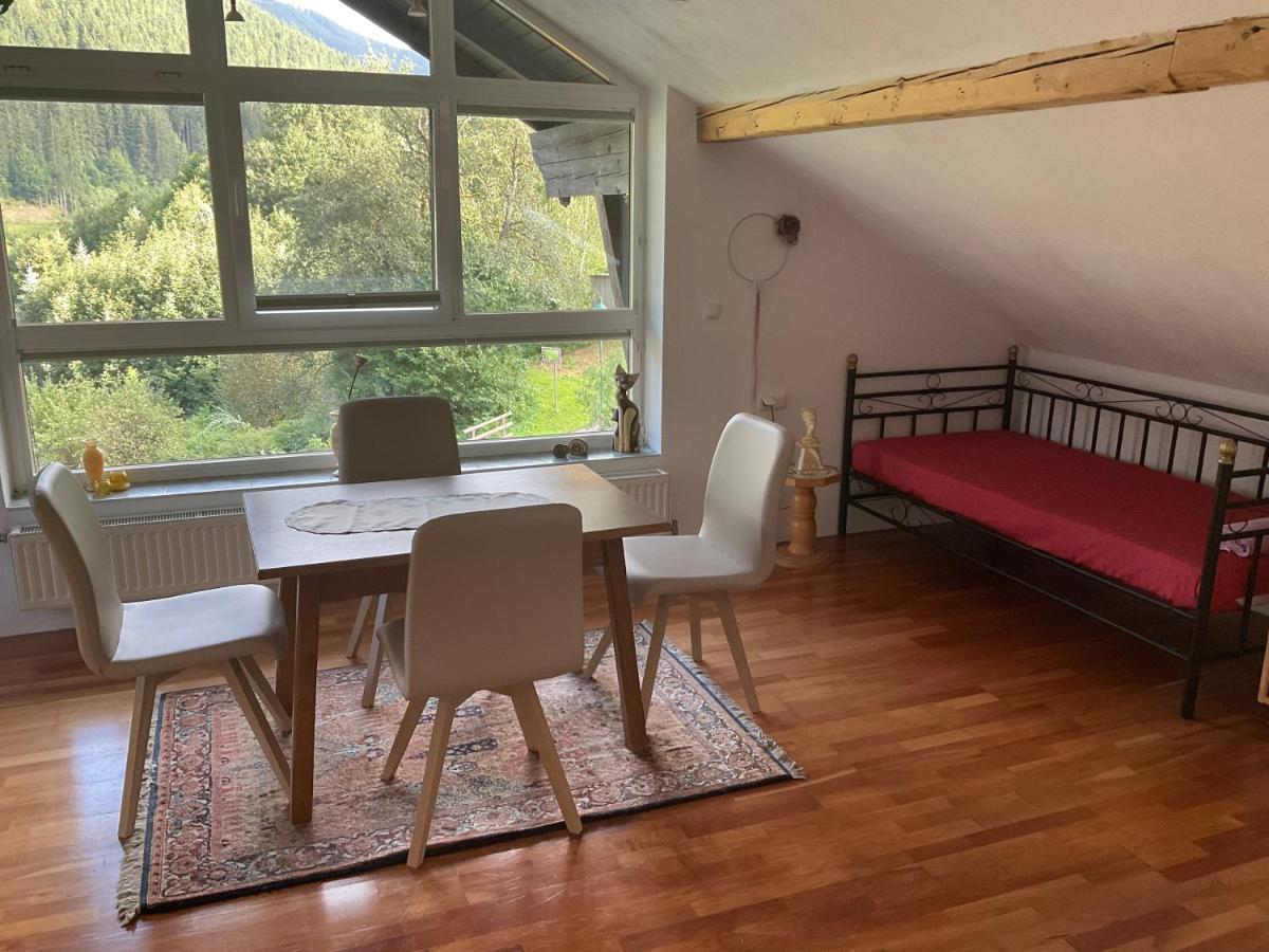 Ferienwohnung Dallinger Radmer an der Stube Экстерьер фото